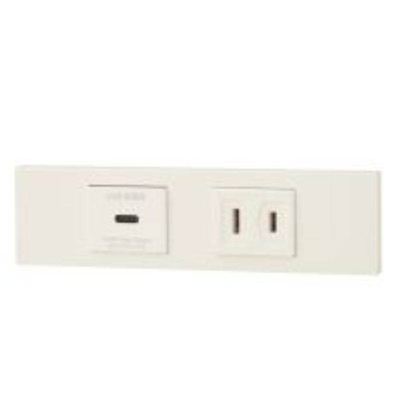 神保電器 KAG-2620 NK続きもの調度品・設備用USB差し込み（Type-C）+差し込み仕掛ける（PW色）