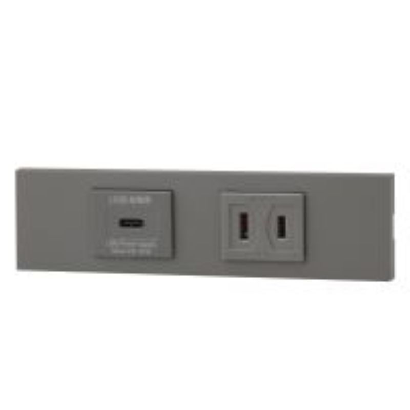 神保電器 KAG-2621 NK続きもの調度品・設備用USB差し込み（Type-C）+差し込み仕掛ける（SG色）