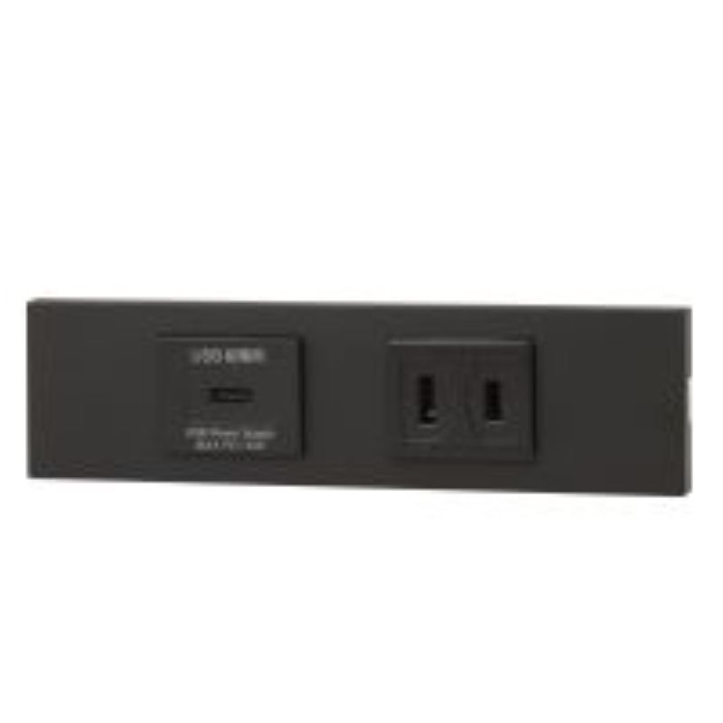 神保電器 KAG-2622 NK続きもの調度品・設備用USB差し込み（Type-C）+差し込み仕掛ける（SB色）