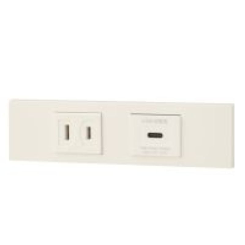 神保電器 KAG-2623 NK続きもの調度品・設備用差し込み+USB差し込み(Type-C)仕掛ける（PW色）