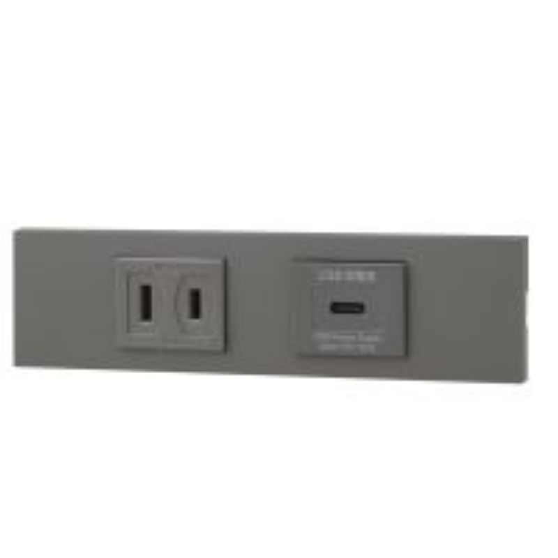 神保電器 KAG-2624 NK続きもの調度品・設備用差し込み+USB差し込み(Type-C)仕掛ける（SG色）