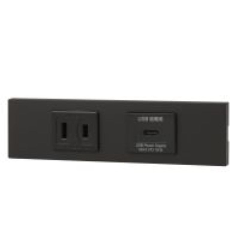 神保電器 KAG-2625 NK続きもの調度品・設備用差し込み+USB差し込み(Type-C)仕掛ける（SB色）
