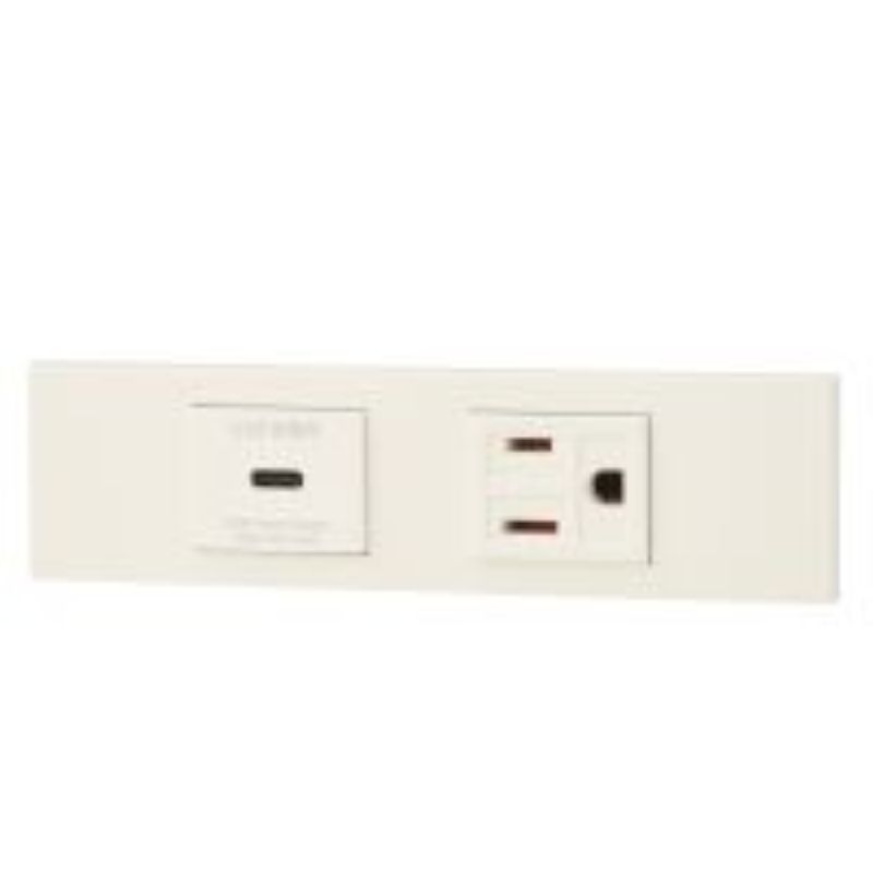 神保電器 KAG-2626 NK続きもの調度品・設備用USB差し込み（Type-C）+舞い降りる差し込み仕掛ける（PW色）