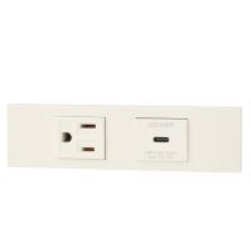 神保電器 KAG-2629 NK続きもの調度品・設備用舞い降りる差し込み+USB差し込み(Type-C)仕掛ける（PW色）