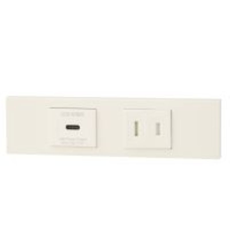 神保電器 KAG-2632 NK続きもの調度品・設備用USB差し込み（Type-C）+扉付差し込み仕掛ける（PW色）