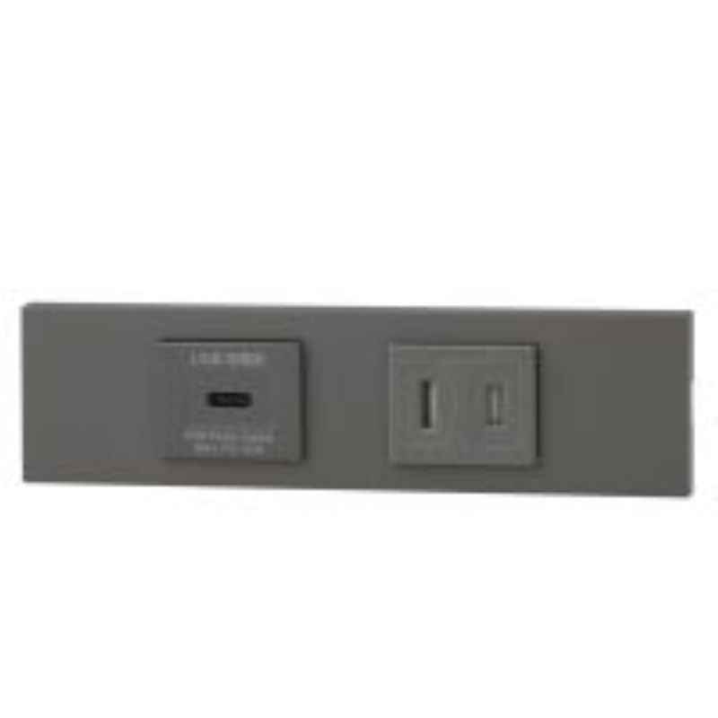 神保電器 KAG-2633 NK続きもの調度品・設備用USB差し込み（Type-C）+扉付差し込み仕掛ける（SG色）