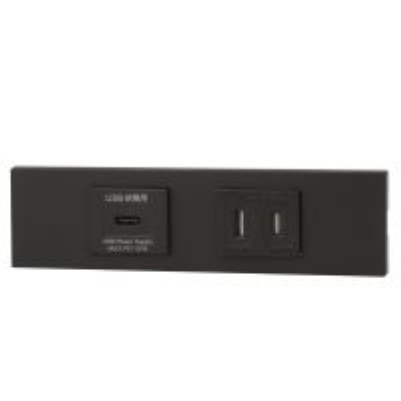 神保電器 KAG-2634 NK続きもの調度品・設備用USB差し込み（Type-C）+扉付差し込み仕掛ける（SB色）