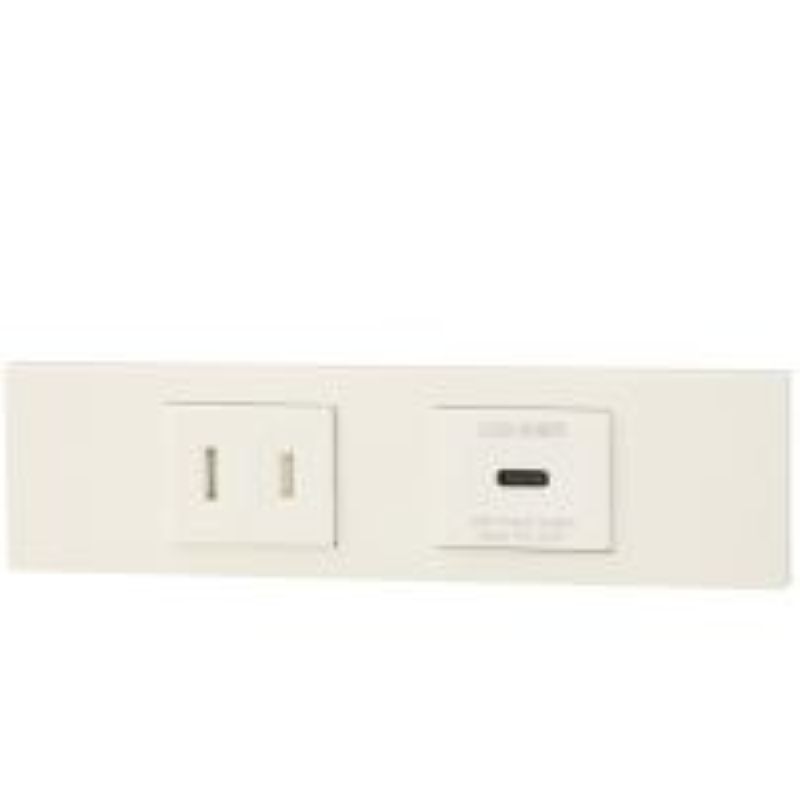 神保電器 KAG-2635 NK続きもの調度品・設備用扉付き添い人差し込み+USB差し込み（Type-C）仕掛ける（PW色）