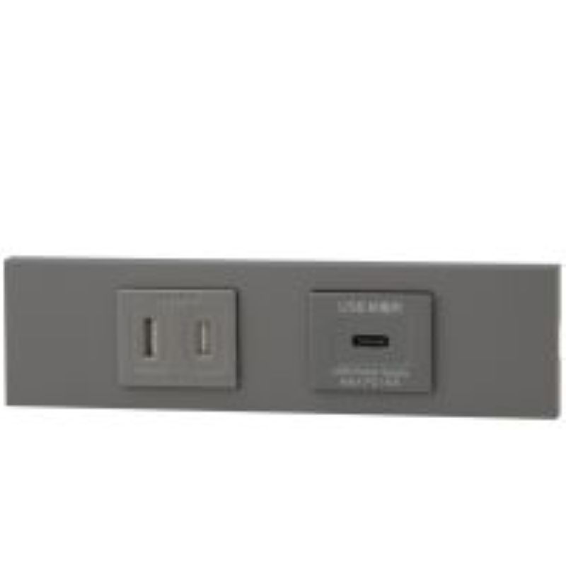 神保電器 KAG-2636 NK続きもの調度品・設備用扉付き添い人差し込み+USB差し込み（Type-C）仕掛ける（SG色）