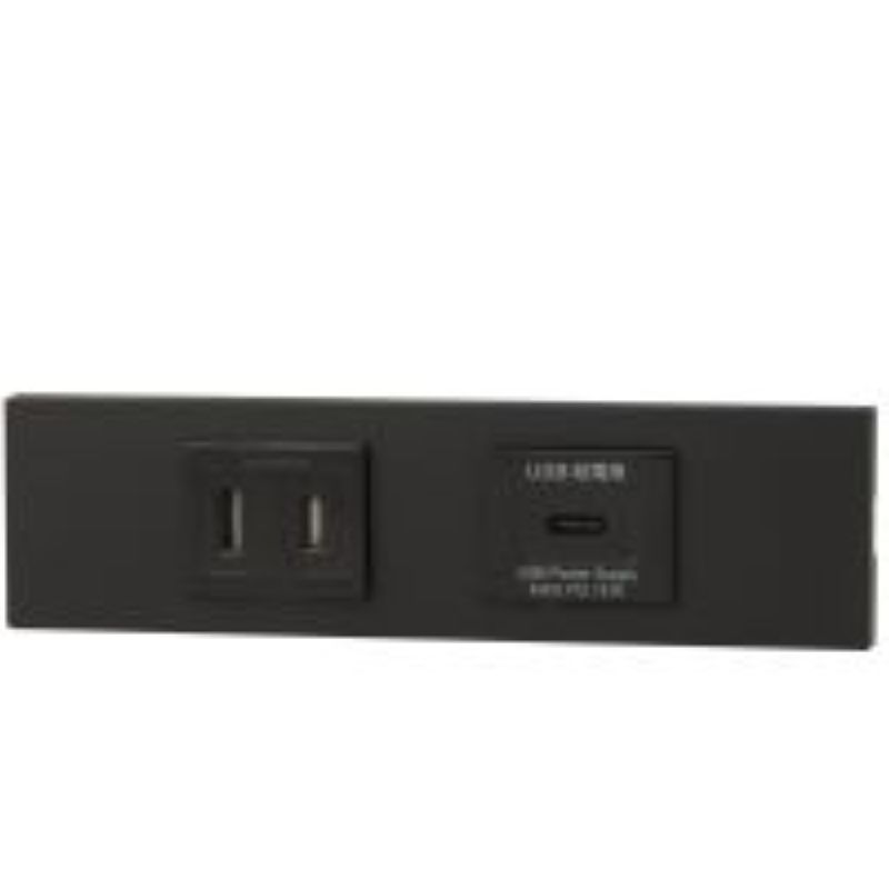 神保電器 KAG-2637 NK続きもの調度品・設備用扉付き添い人差し込み+USB差し込み（Type-C）仕掛ける（SB色）