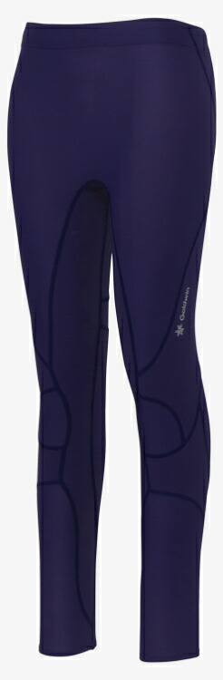 C3fit シースリーフィット IMPT AR LG TIGHTS イワコン 1 GCW15151 IW | スポーツ ウエア ウェア インナー アンダーウェア ロングタイツ ロング丈 ストレッチ性 軽量 通気性 ユニセックス 男女兼用 メンズ レディース トレーニング ランニング｜DE（desir de vivre）