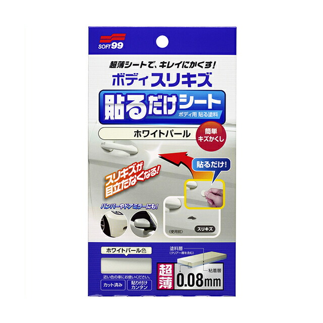 ソフト99 SOFT99 補修用品 うすづけパテ ダークブラック 60g 09008 【即日発送】