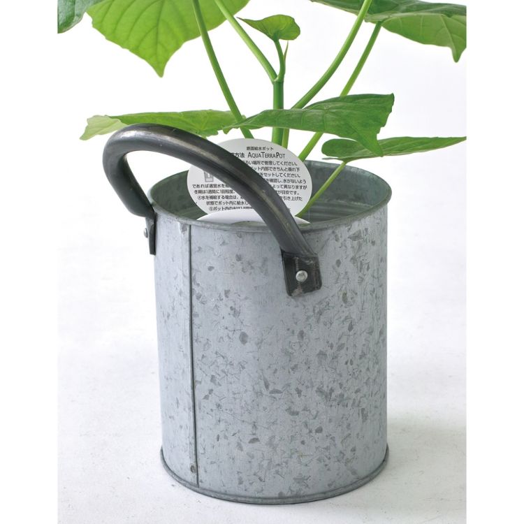 全ての 楽天市場 Spice スパイス Spice Of Life Lterブリキ アクアテラポット 朴観葉 10 5 Hak 12個 ガーデン 植物 観葉植物 底面給水 アクアテラポット グリーン Desir De Vivre 絶対一番安い Www Psht Or Id