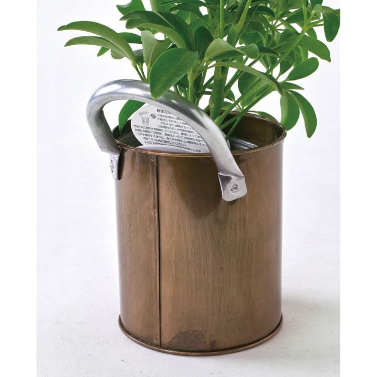 全ての 楽天市場 Spice スパイス Spice Of Life Lterブリキ アクアテラポット 朴観葉 10 5 Hak 12個 ガーデン 植物 観葉植物 底面給水 アクアテラポット グリーン Desir De Vivre 絶対一番安い Www Psht Or Id