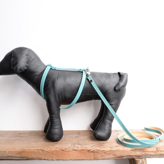 【BABA PARIS】 ババ 光の都市 MADELEINE harness \u0026 leash エメラルド青色 馬具 首輪・胴輪・リード-ハーネスリード-犬用品