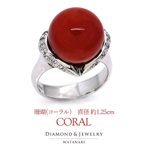 楽天市場】【稀少】『大粒』本ボケ珊瑚の豪華なデザインリング・指輪