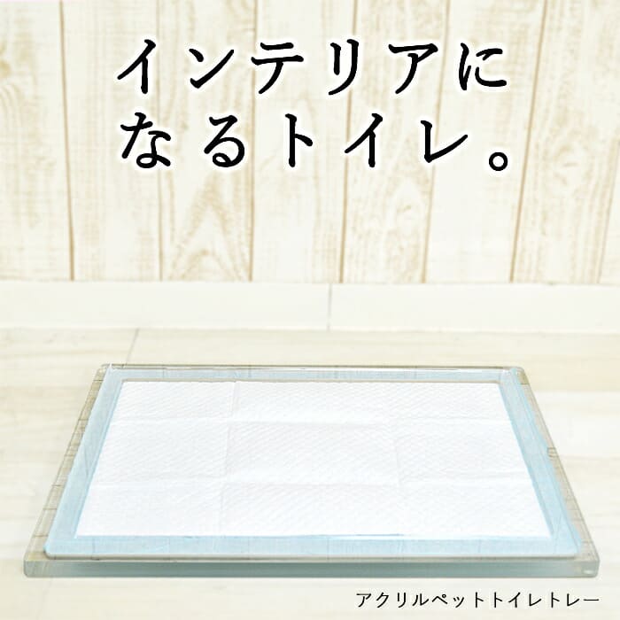 ペットトイレ トレー 犬 アクリル Sサイズ 犬用トイレ トレー クリア 犬トイレ 犬のトイレ 丸洗い 洗える 収納 介護 老犬 バリアフリー 犬の トイレ用品 オシャレ 小型犬 透明 ペット用品 ペットトイレ トイレトレイ お手入れ簡単 ギフト 実用的 Sermus Es
