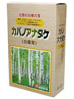 カバノアナタケ（白樺茸）５ｇ&times;３２袋　6個セット｜ノースウェブ 21,591円