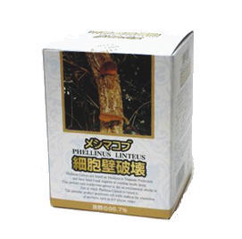 メシマコブ独居室壁くずれ落ちる 60mg×3500粒 6個仕掛ける