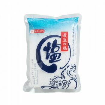 最進の塩 600g ×15袋