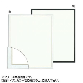 大額 5382 デッサン額 大全紙 白｜ノースウェブ