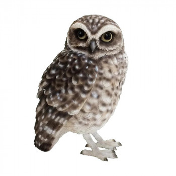 楽天市場】バーディビル (BIRDIE BILL BURROWING OWL)【バーローイング