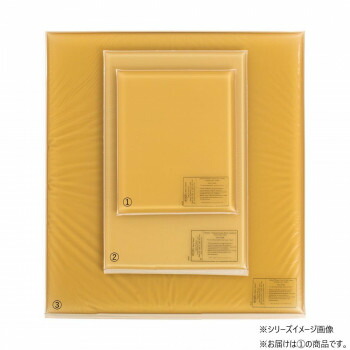 アクション・ジャパン 平状アクションパッド 小 40402|ノースウェブ