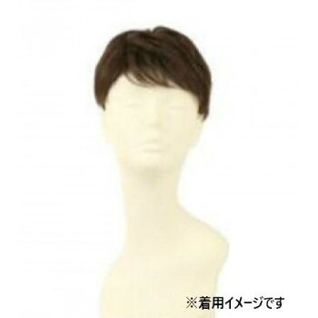プリシラ  成人男性用5分ウィッグ レイヤーショート 耐熱 暗然たる赤銅色 GB-22-TDB