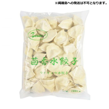 友盛貿易 友盛 茴香 ウイキョウ水餃子 1kg×12pc 0215909|ノースウェブ