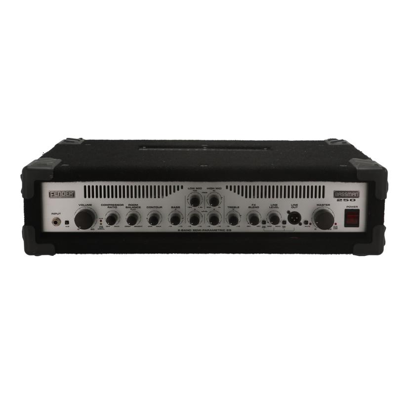 楽天市場】Warwick(ワーウィック) / Gnome i ベースアンプヘッド USB