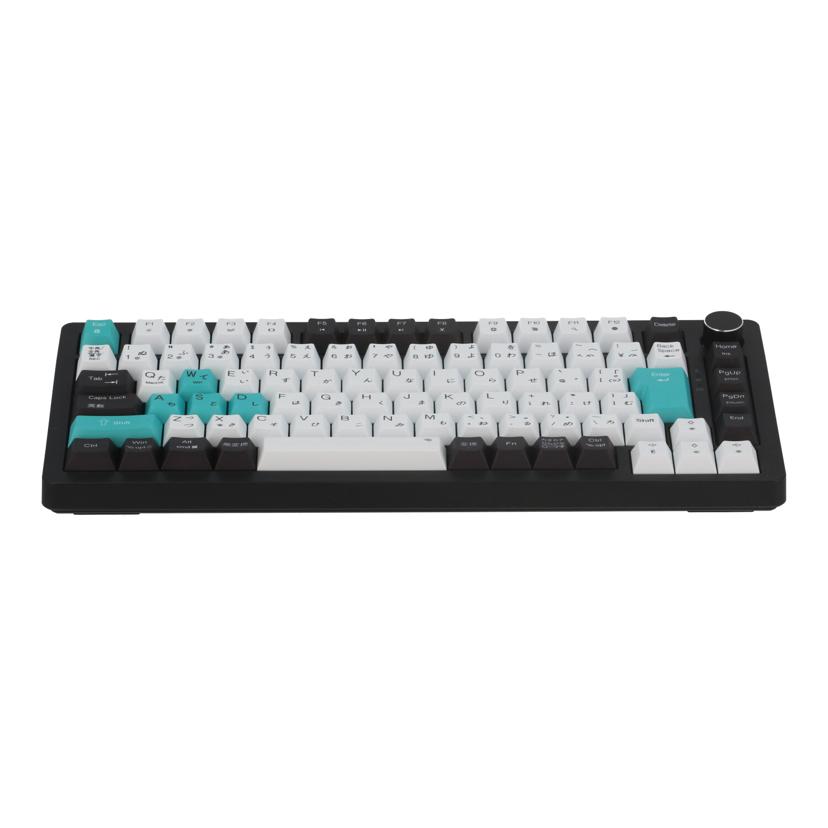 Wooting 60HE+ ホワイトキーボード Wooting 60HE+ | the 60% rapid trigger keyboard