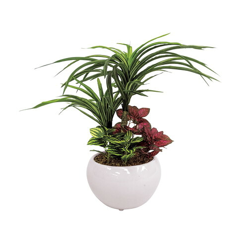 【送料無料・包装無料・のし無料】SC触媒加工 トロピカル寄せ植えポットユッカ(フェイクグリーン) FG1001(A5)