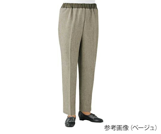 おしりスルッとパンツ(婦人用)ベージュ LL 4580604050589
