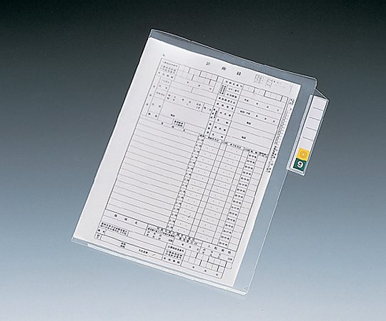 カルテフォルダー ＨＫ７６０８ ２００入 4903419188788