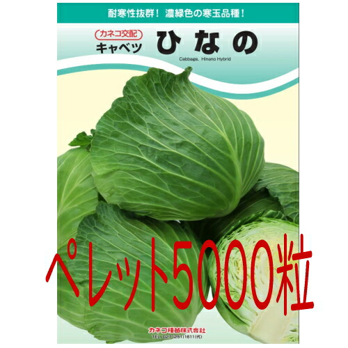 【入荷次第次第に積み出し】カネコ種苗 ひなの 球菜 ペレット５０００粒 種子-花・ガーデン・DIY