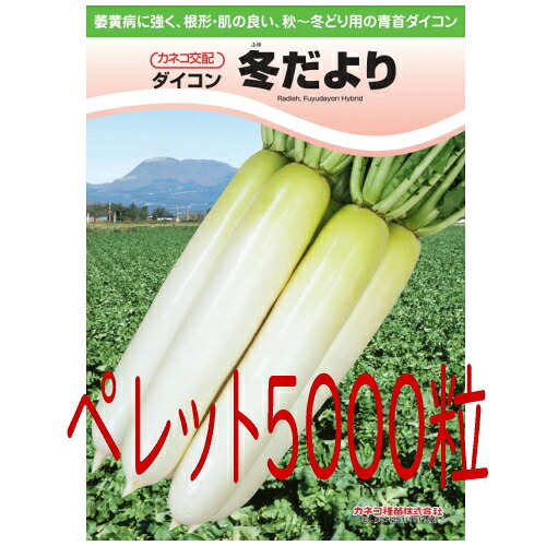 【入荷次第出荷】カネコ種苗　冬だより大根　ペレット５０００粒