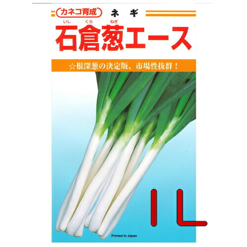 【入荷次第出荷】カネコ種苗　石倉葱エース　１Ｌ｜トキワダイレクト