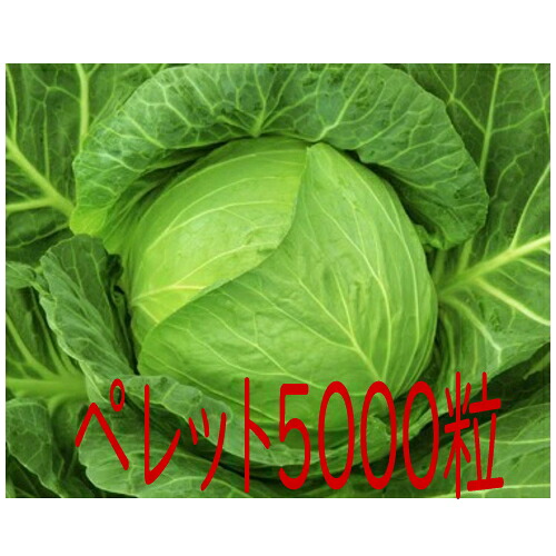 【入荷次第出荷】カネコ種苗　光彩　キャベツ　ペレット５０００粒｜トキワダイレクト
