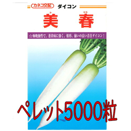 【入荷次第出荷】カネコ種苗　美春大根　ペレット５０００粒