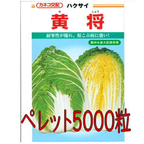 【入荷次第出荷】カネコ種苗　黄将　白菜　ペレット５０００粒