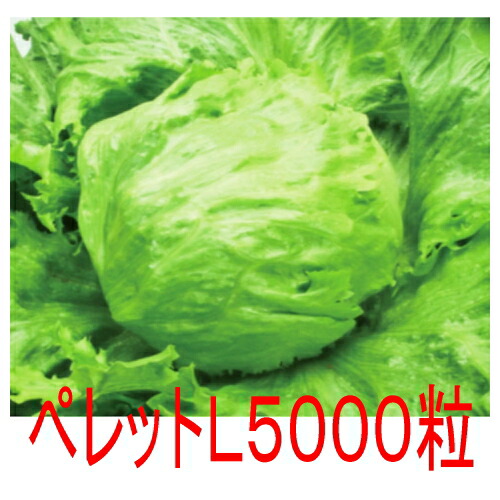 【入荷次第出荷】カネコ種苗　トリガー　レタス　ペレットＬ５０００粒