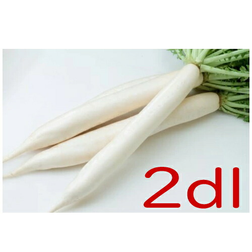 【入荷次第出荷】カネコ種苗　漬ひかり　大根　２ｄｌ