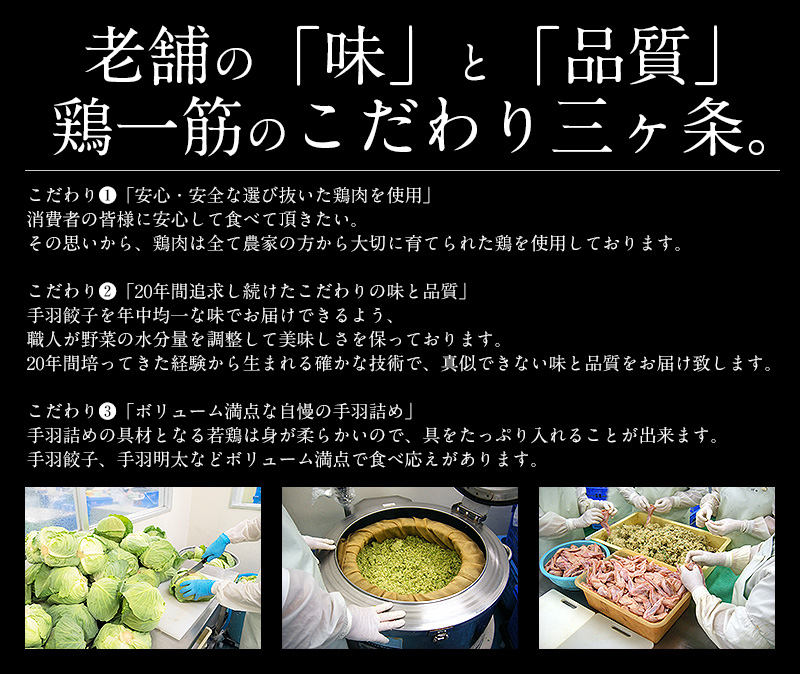 市場 手羽餃子 餃子 手羽明太 手羽 10本 御中元 お中元 手羽先 手羽チーズから選択 450g お総菜 手羽ぎょうざ