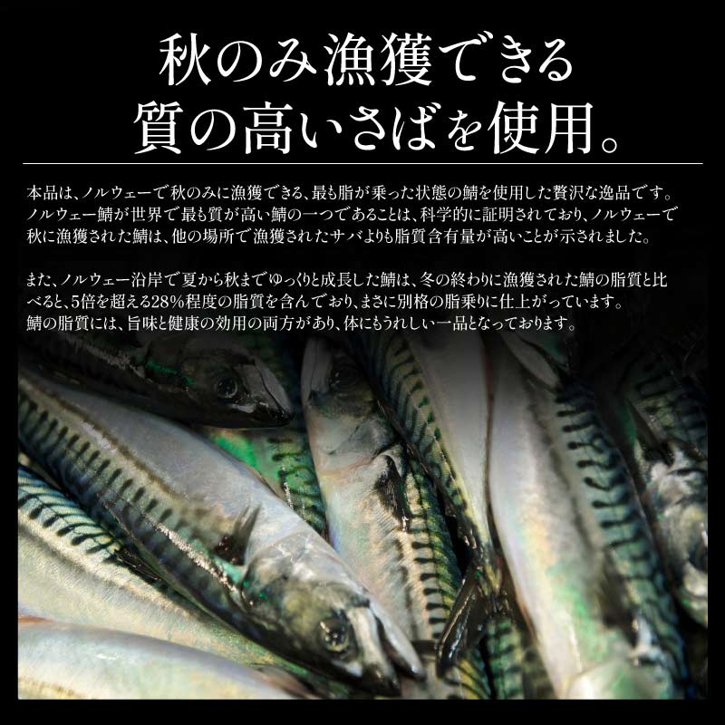 【10/1限定 エントリーでP最大12倍！クーポンで55％OFF＆2個で60％OFF！】 【無添加・無塩 骨取り済み！】 種類が選べる さば サバ 鯖 約1kg(6〜9枚）約2kg(12〜18枚）骨取り ノルウェー 国産サバ 海鮮 天然 魚 魚介 海産物 おかず おつまみ 乾き物 酒の肴 贈り物