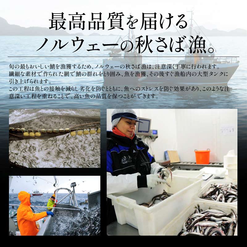 【10/1限定 エントリーでP最大12倍！クーポンで55％OFF＆2個で60％OFF！】 【無添加・無塩 骨取り済み！】 種類が選べる さば サバ 鯖 約1kg(6〜9枚）約2kg(12〜18枚）骨取り ノルウェー 国産サバ 海鮮 天然 魚 魚介 海産物 おかず おつまみ 乾き物 酒の肴 贈り物