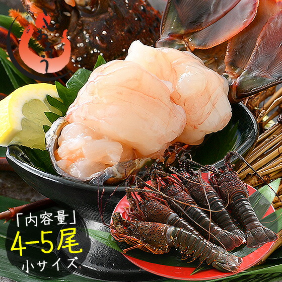 伊勢海老 千葉県産 外房イセエビ 小サイズ×4～5尾 刺身 冷凍 伊勢エビ 伊勢えび えび エビ 海鮮 魚介 プリプリ 濃厚 グルメ 贈り物 ［送料無料］ プレゼント ギフト 健康 子供 ギフト ギフト プレゼント 父の日