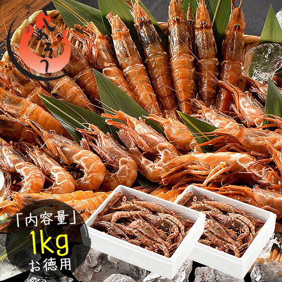 越前産 がらえび 1kg（500g×2箱）約70尾入り ガラエビ［送料無料］ えび 冷凍 エビ 冷凍えび 美味しい 冷凍エビ 甘い 冷凍海老 産地直送 国産 福井県 お刺身 お徳用 贈り物 ごちそう 贈答 父の日