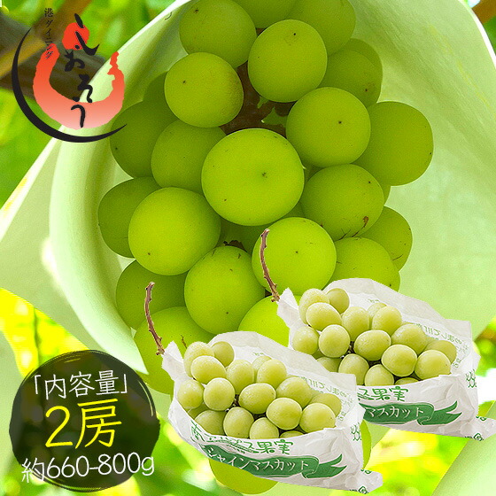 シャインマスカット 2房(約660g〜800g) ぶどう 山梨県産 (着日指定不可)国内 食べ物 果物 フルーツ ブドウ 葡萄 冷蔵 ギフト 御中元 祝い 種無し 皮ごと