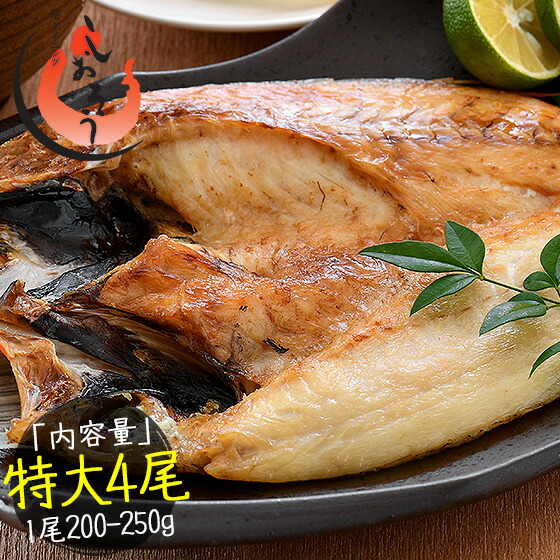 のどぐろ 干物 一夜干し 浜田 約200～250g×4尾 特大サイズ 約24cm 島根県産 ノドグロ プレゼント ギフト 健康 子供 ギフト ギフト プレゼント 父の日