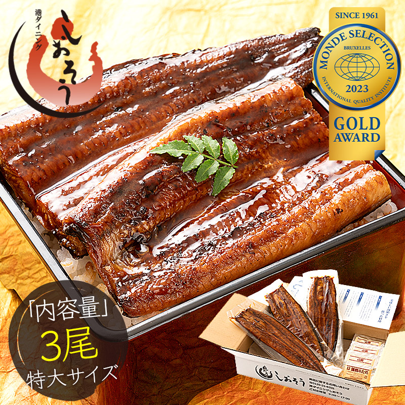鰻 ウナギ うなぎ 蒲焼き 無頭 国産 特大サイズ 約200g×3尾 国産鰻 グルメ 国産ウナギ うなぎの蒲焼 蒲焼 鰻の蒲焼 美味しい うなぎ蒲焼 国産うなぎ 国産うなぎ蒲焼 ウナギ蒲焼き カット 贈り物 旬の味覚 送料無料 父の日